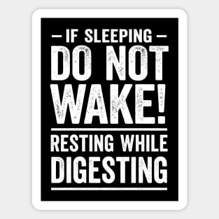 If Sleeping Do Not Wake! - Father's Day Fun Magnet